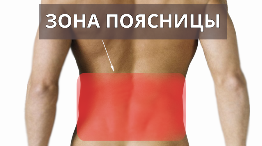 зона поясницы