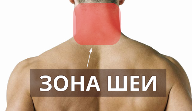 зона шеи